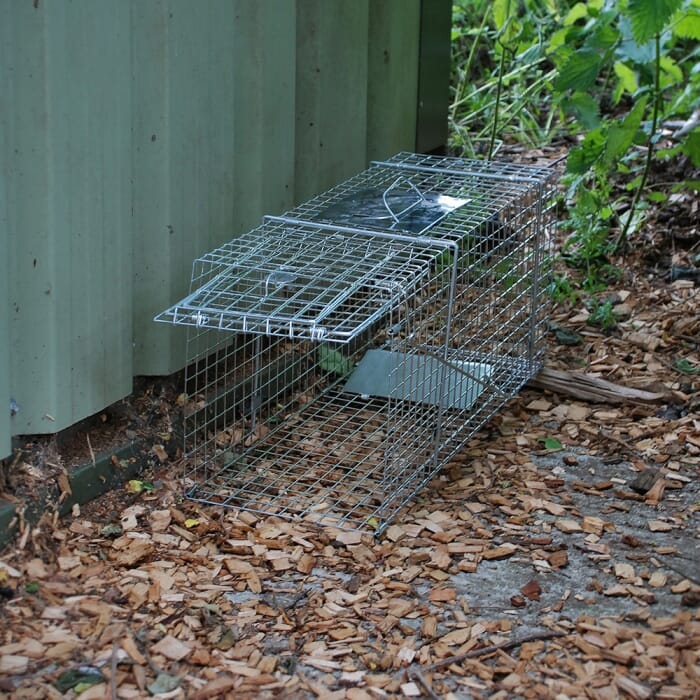 STV  Live Animal Trap - Large Cage