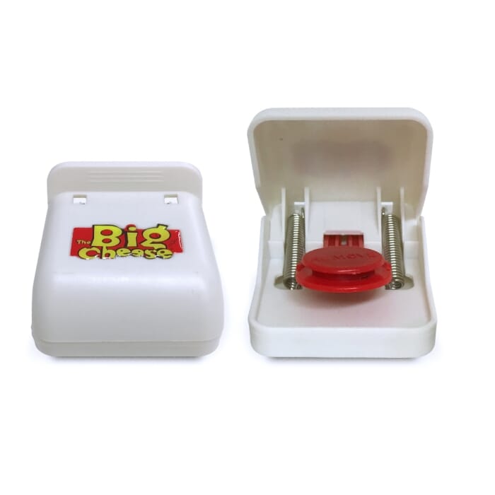 STV  Quick Click Mouse Trap - Twinpack