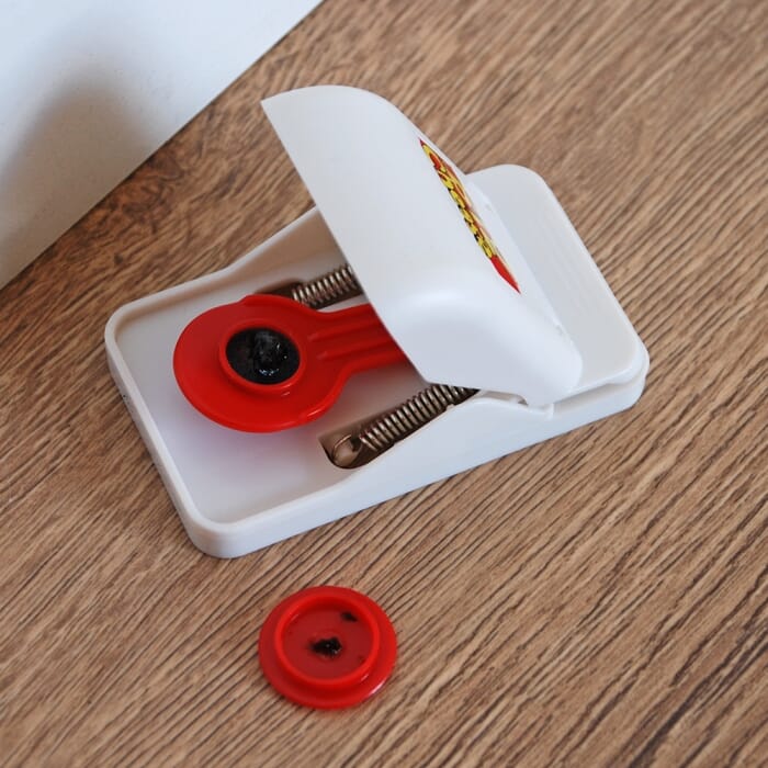 Stv Quick Click Mouse Trap - Twinpack ehdxb
