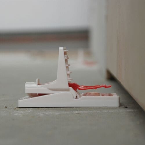 Stv Ready-Baited Mouse Trap - Twinpack ehdxb