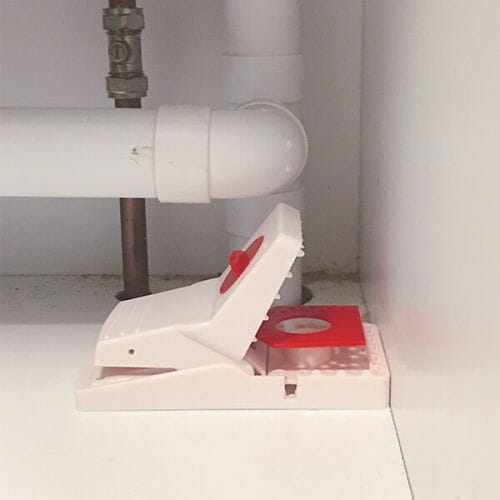 Stv Ready-Baited Rat Trap - Twinpack ehdxb
