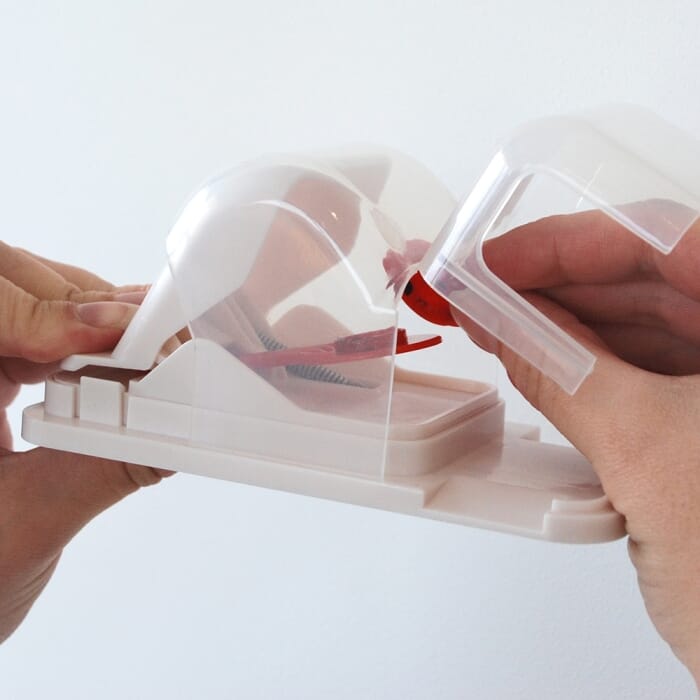 Stv Pet Safe Quick Click Mouse Trap ehdxb