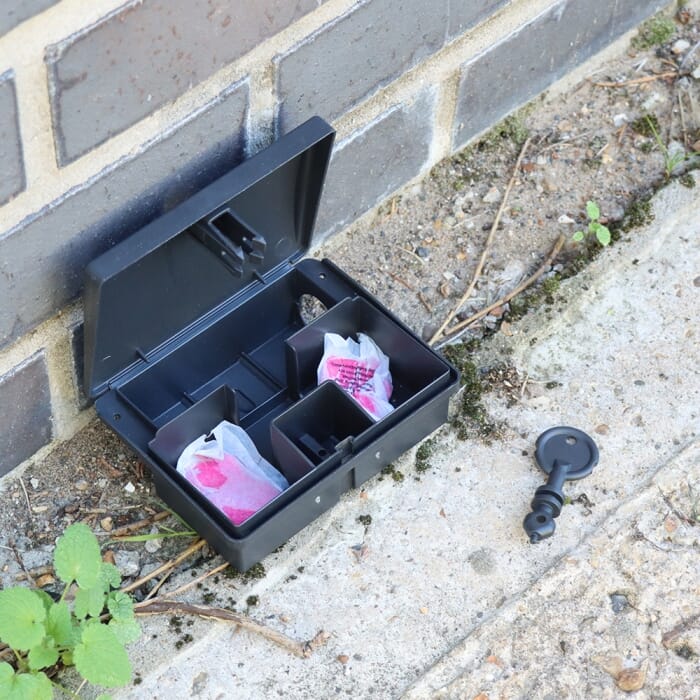 Stv Mouse Bait Station ehdxb