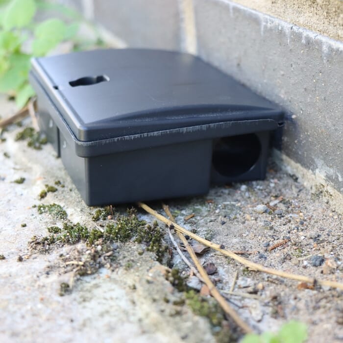 Stv Mouse Bait Station ehdxb