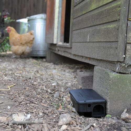 STV  Rat & Mouse Bait Station