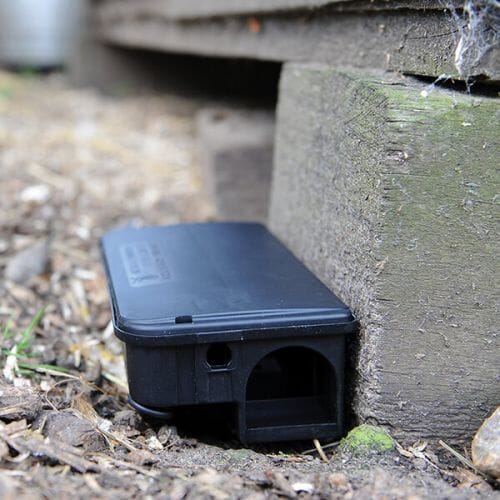 Stv Rat & Mouse Bait Station ehdxb