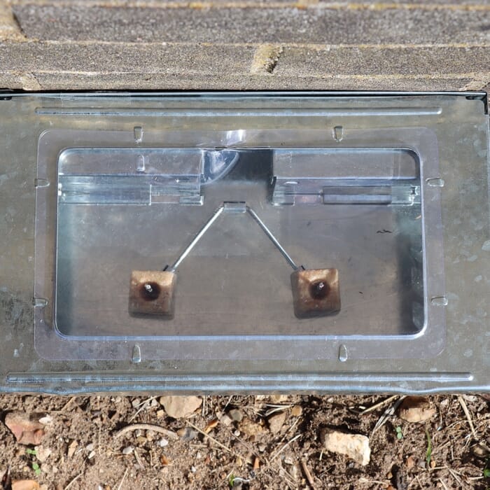 Stv Ready-Baited Live Multi-Catch Mouse Trap ehdxb