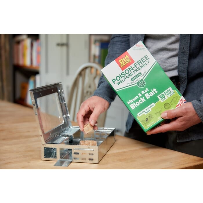 Stv Ready-Baited Live Multi-Catch Mouse Trap ehdxb