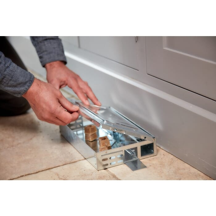 Stv Ready-Baited Live Multi-Catch Mouse Trap ehdxb