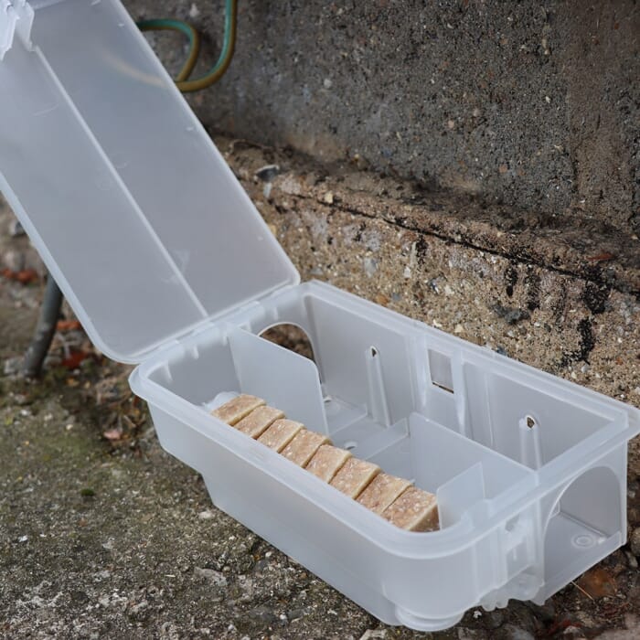 Stv Ready-Baited Mouse & Rat Bait Station ehdxb