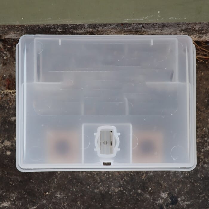 Stv Ready-Baited Mouse Bait Station ehdxb