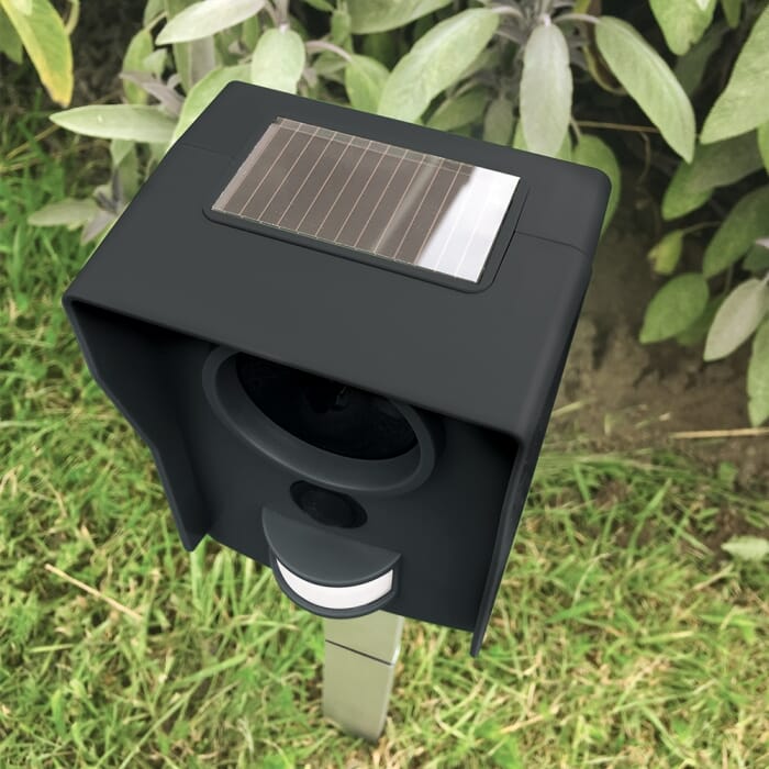 Stv Mega-Sonic® Solar Cat Repeller ehdxb