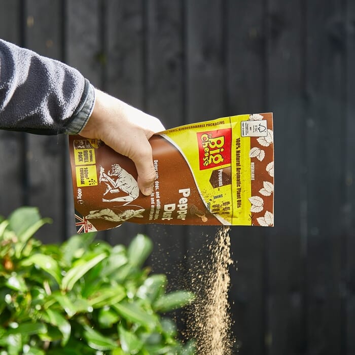 Stv Pepper Dust - 400g Refill ehdxb