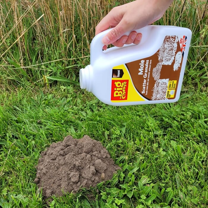 Stv Mole Scatter Granules - 2.5kg ehdxb