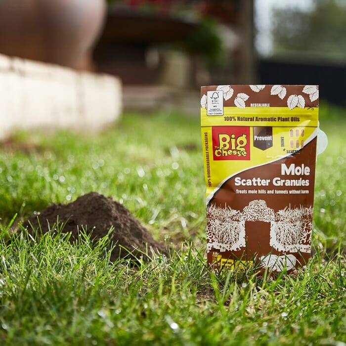 Stv Mole Scatter Granules - 750g Refill ehdxb