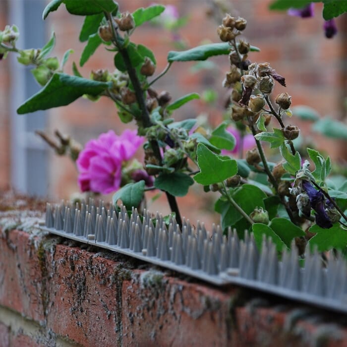 Stv Prickle Strip Garden Fence Topper - 45cm ehdxb