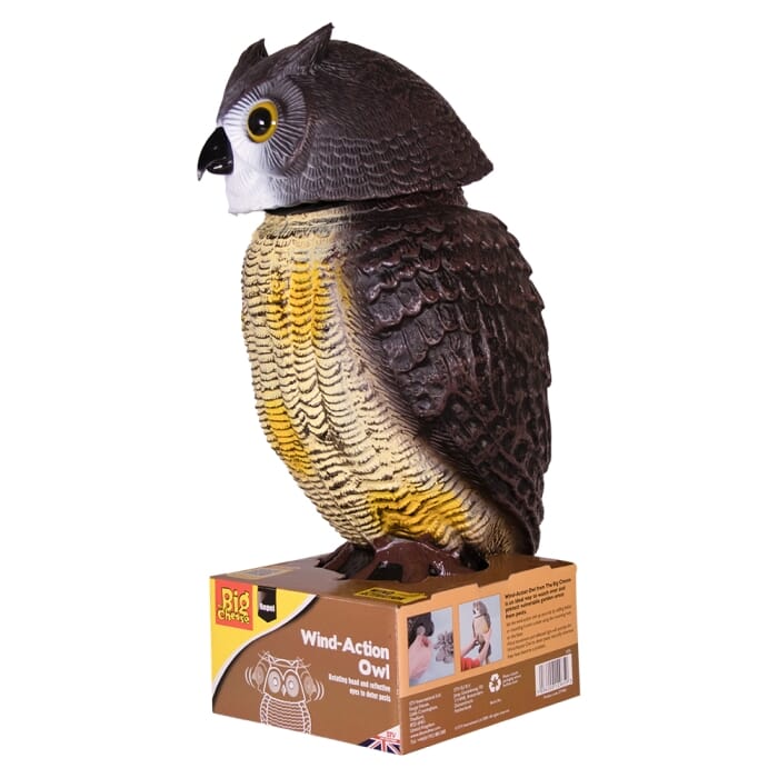 Stv Wind-Action Owl ehdxb