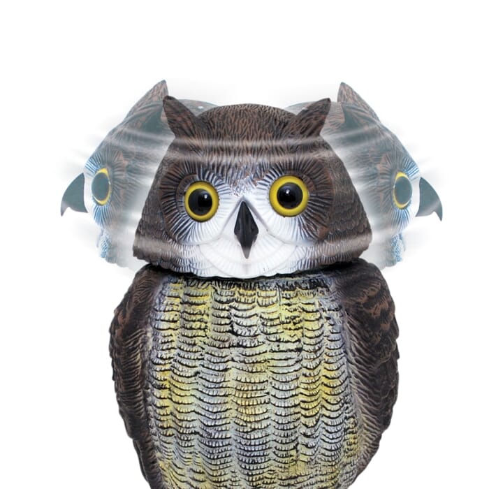 Stv Wind-Action Owl ehdxb