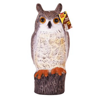 Stv Owl ehdxb