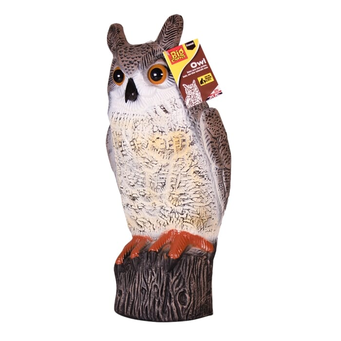Stv Owl ehdxb