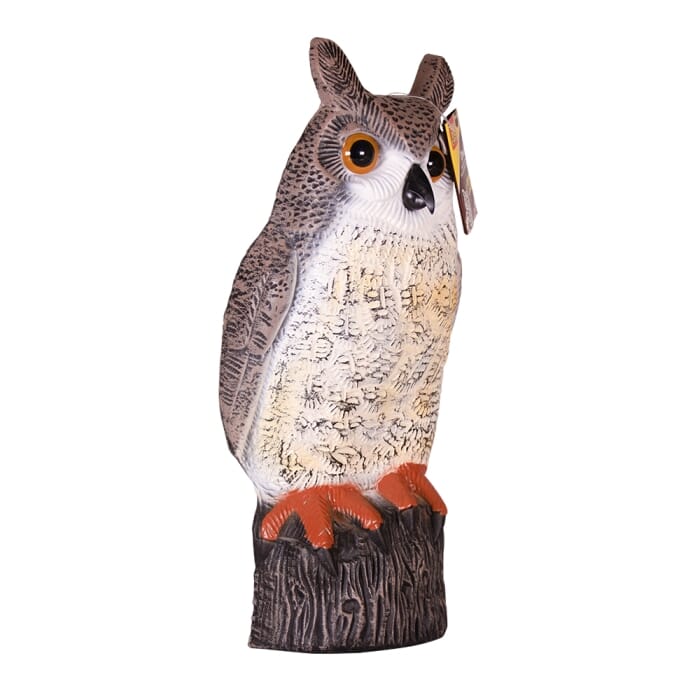 Stv Owl ehdxb