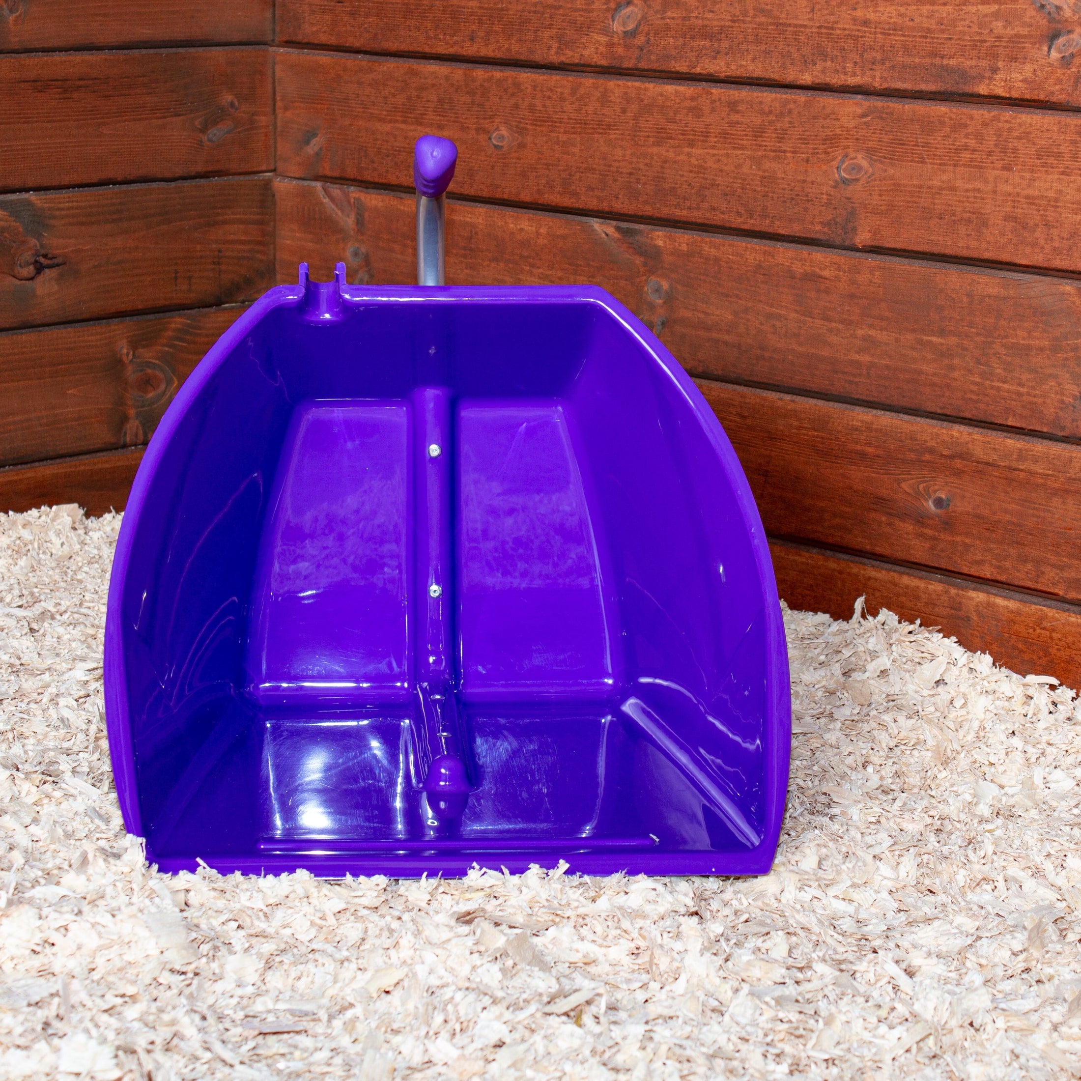 Short Handled Big Tidee - Purple (No Rake)