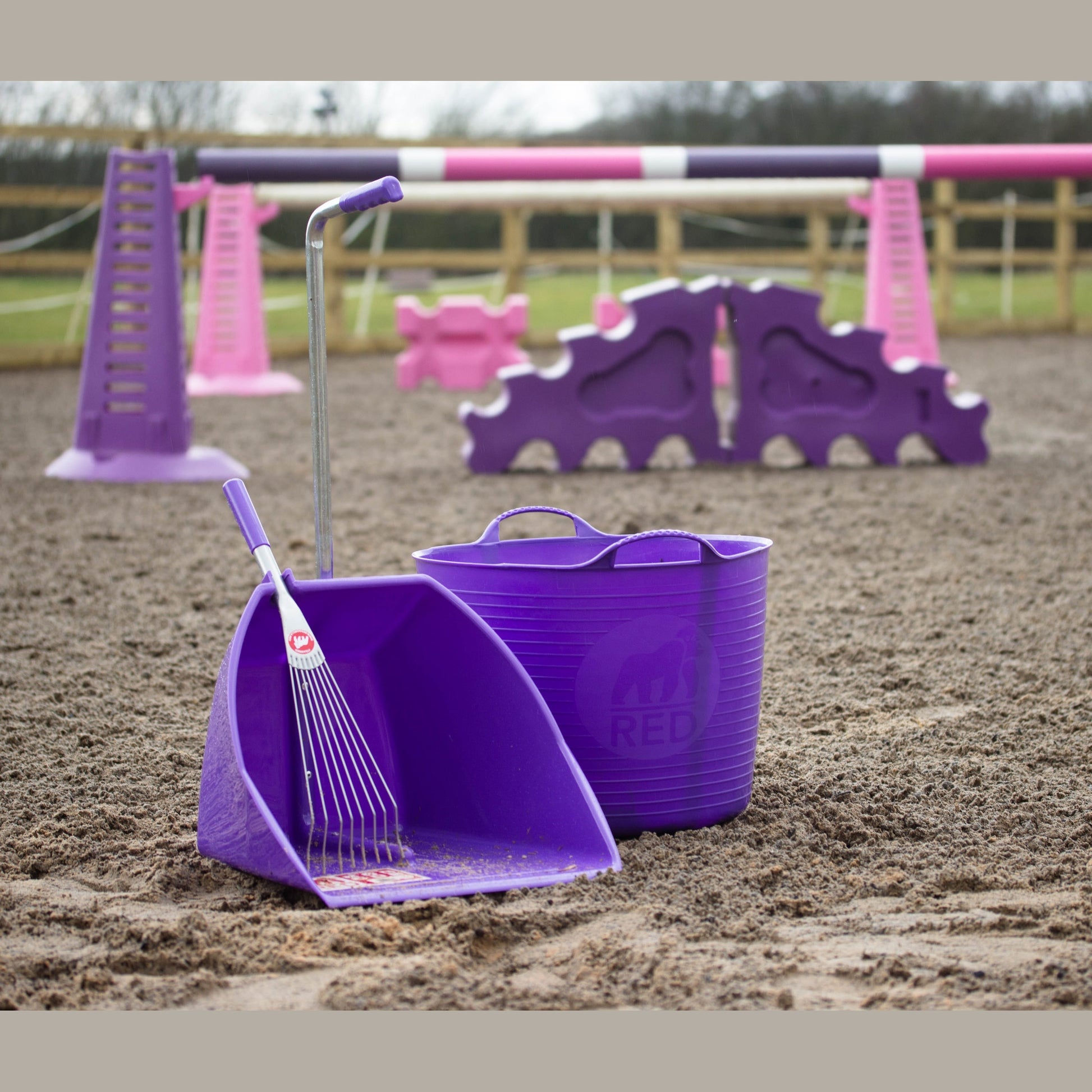 Red Gorilla - Big Tidee & Short Metal Rake - Purple Big Tidee + Rake ehdxb