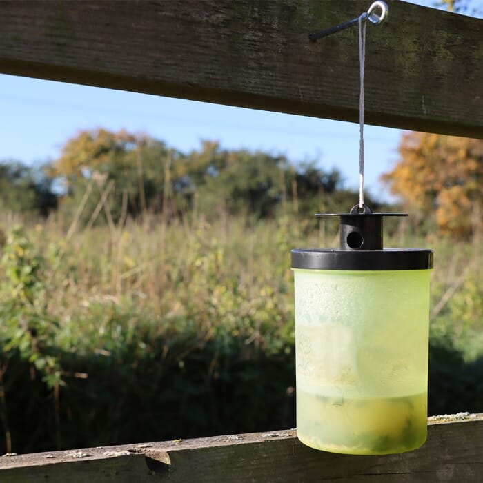 Stv Ready-Baited Wasp Trap ehdxb