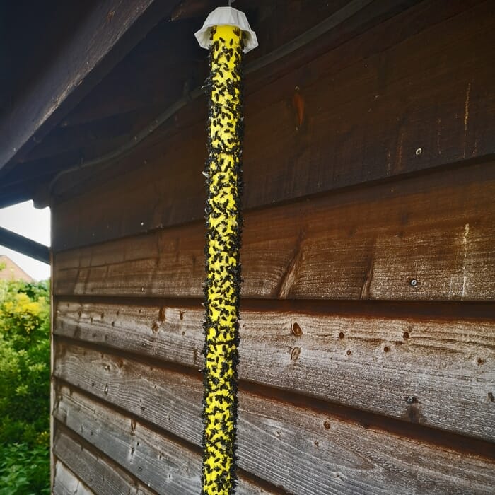 Stv Xl Fly Stick - 60cm ehdxb