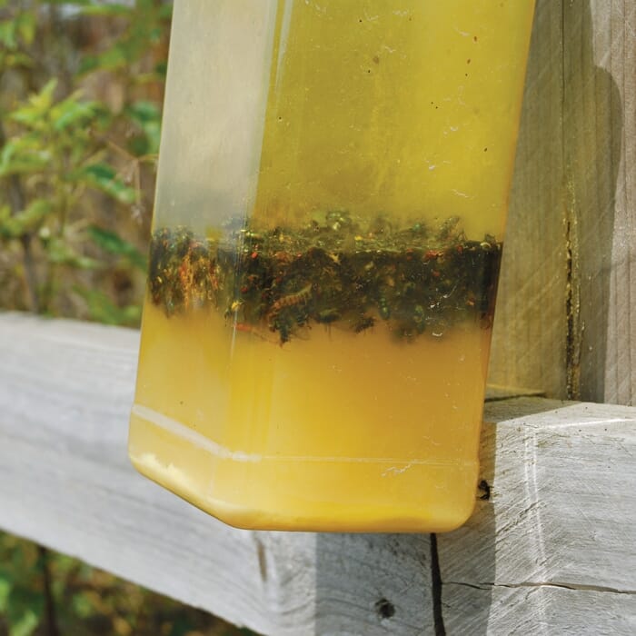 Stv Ready-Baited Xl Outdoor Fly Trap ehdxb