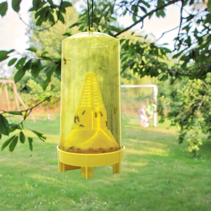 Stv Ready-Baited Xl Wasp Trap ehdxb